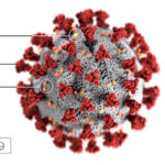 This illustration, created at the Centers for Disease Control and Prevention (CDC) represents the COVID-19 virus.