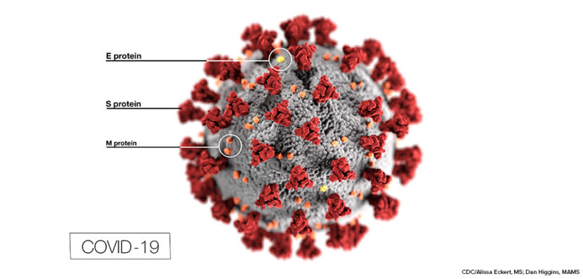 Coronavirus Outbreak: How are States Responding?