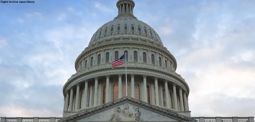 Young Democrats Step Up To Lead