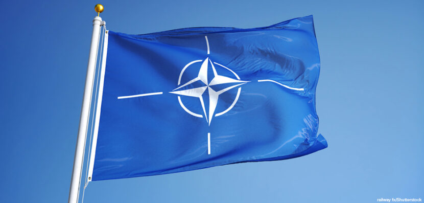 A History of the NATO Alliance