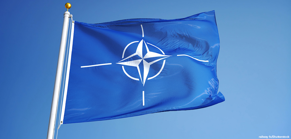 A History of the NATO Alliance