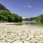 Mud cracks near the Rio Grande River in Big Bend National Park, Texas.